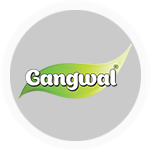 Gangwal Icon